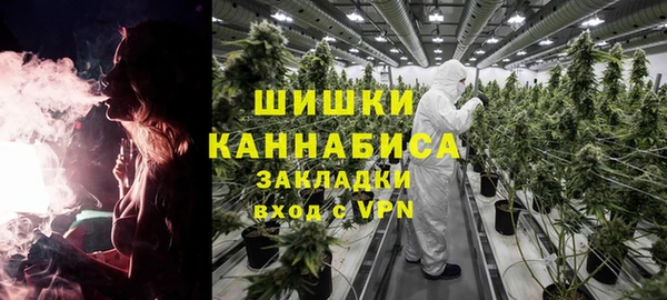 винт Алексин