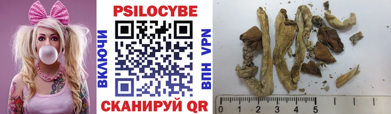Псилоцибиновые грибы Psilocybine cubensis  Боровск 